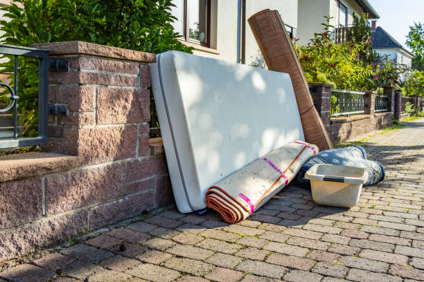 Best Yard Cleanup Services  in Lester Prairie, MN