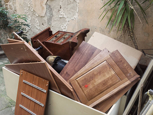 Best Household Junk Removal  in Lester Prairie, MN