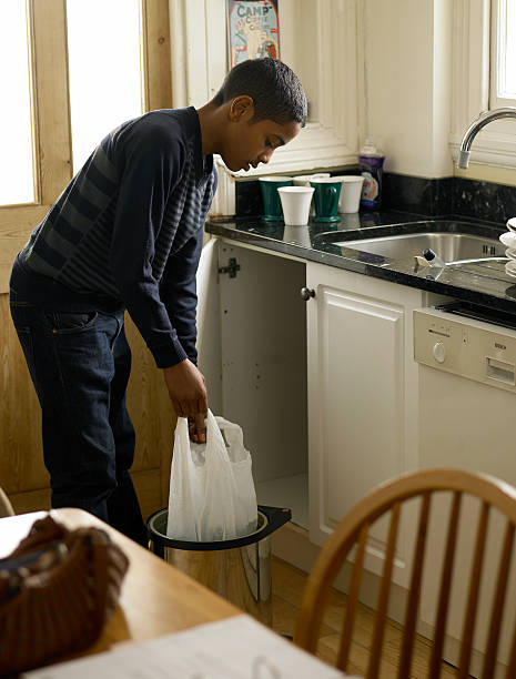 Professional Junk Removal in Lester Prairie, MN